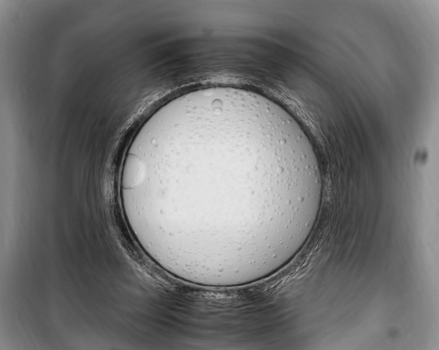 X0000100350347200806060805