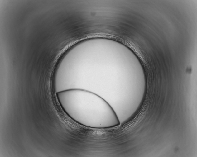 X0000100350348200806060805