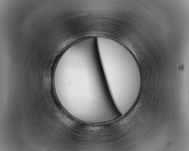 X0000100350349200806060805