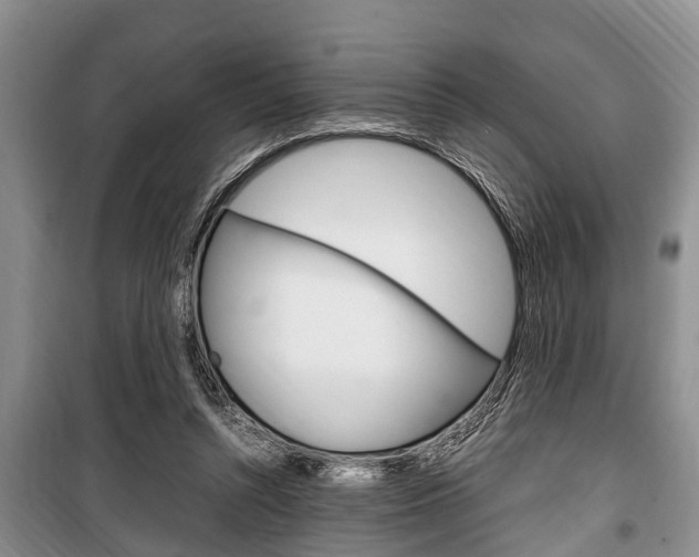 X0000100350352200806060805