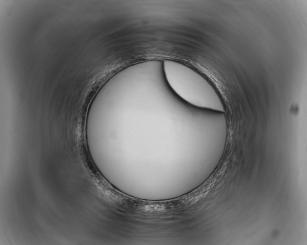 X0000100350353200806060805