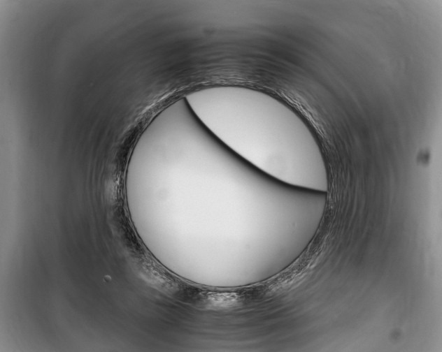 X0000100350355200806060805