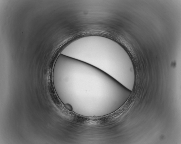 X0000100350356200806060805