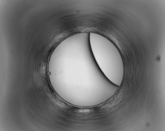 X0000100350357200806060805