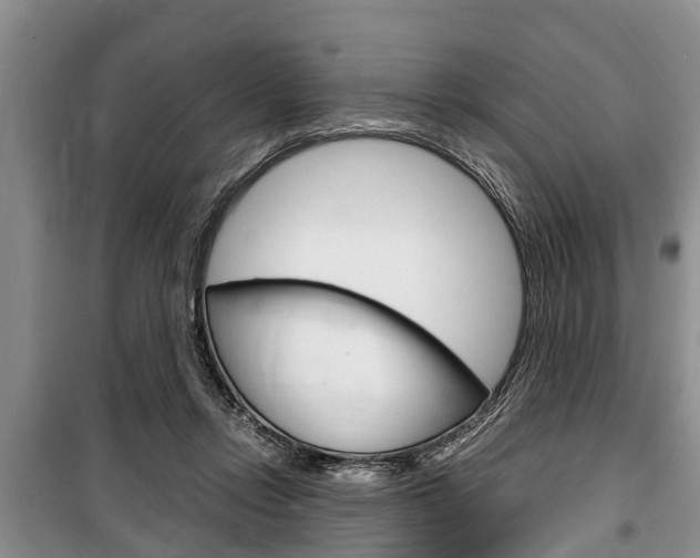X0000100350358200806060805