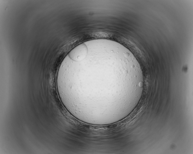 X0000100350359200806060805