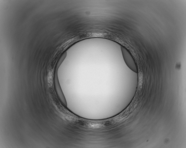 X0000100350360200806060805