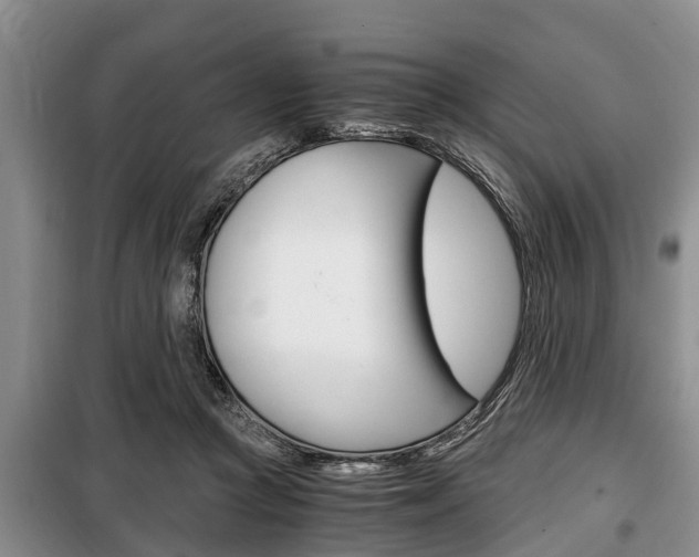 X0000100350361200806060805