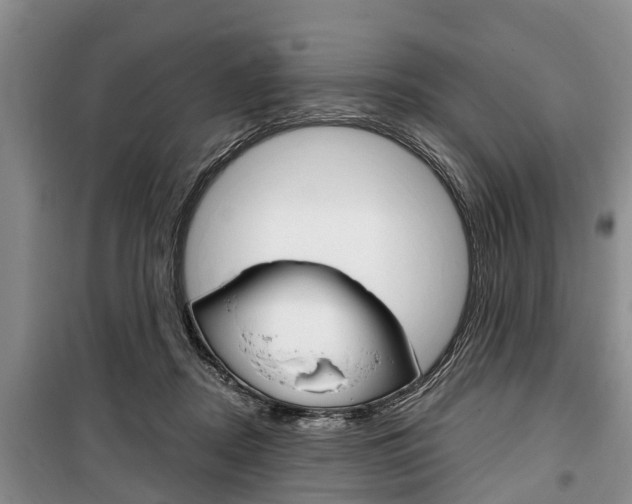 X0000100350362200806060805