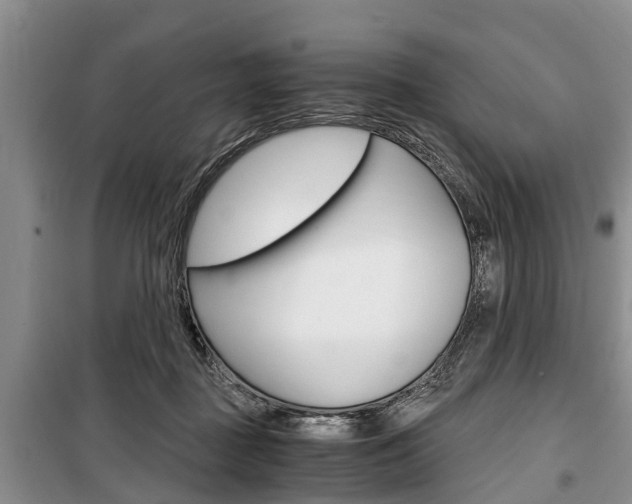 X0000100350363200806060805