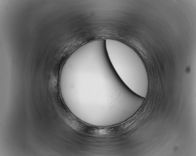 X0000100350365200806060805