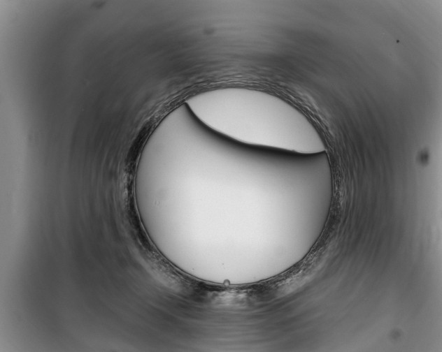 X0000100350366200806060805