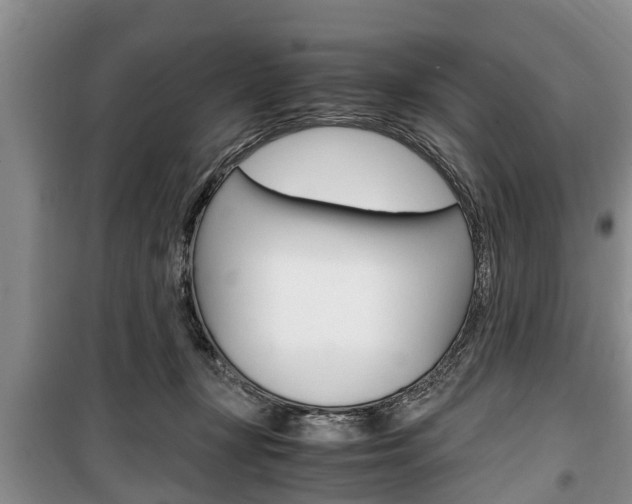 X0000100350367200806060805