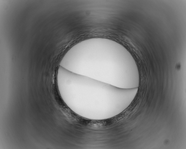 X0000100350368200806060805