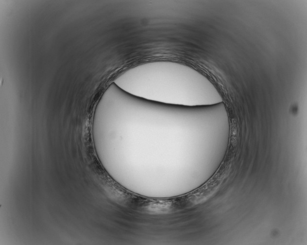 X0000100350369200806060805