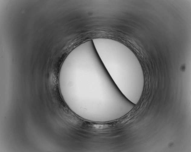X0000100350371200806060805