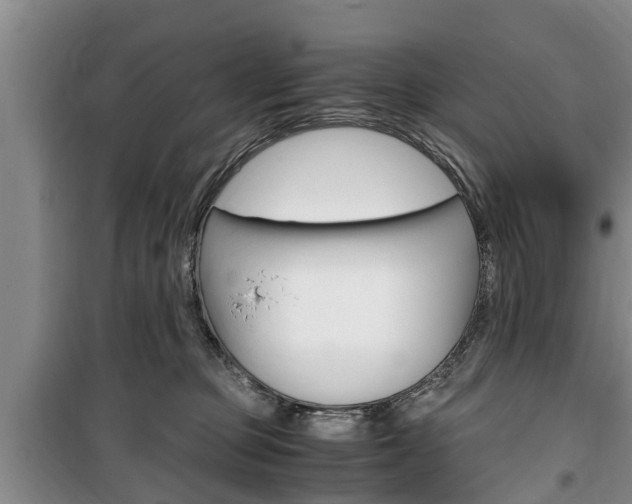X0000100350373200806060805