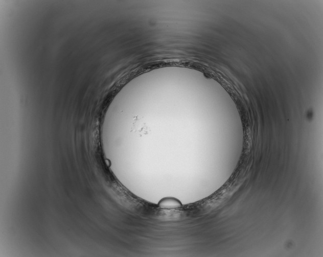 X0000100350376200806060806