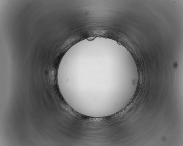 X0000100350378200806060806