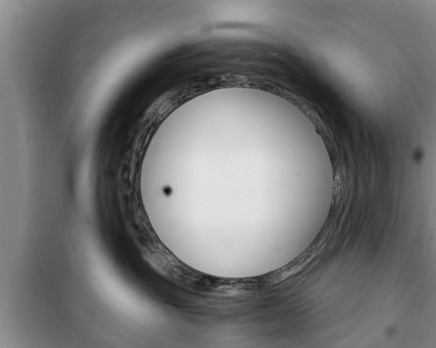 X0000100350381200806060806