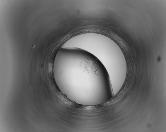 X0000100350382200806060806