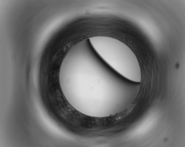 X0000100350383200806060806