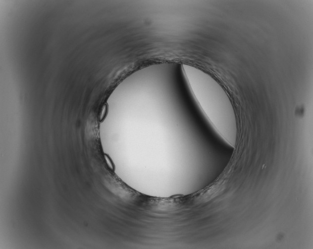 X0000100350384200806060806
