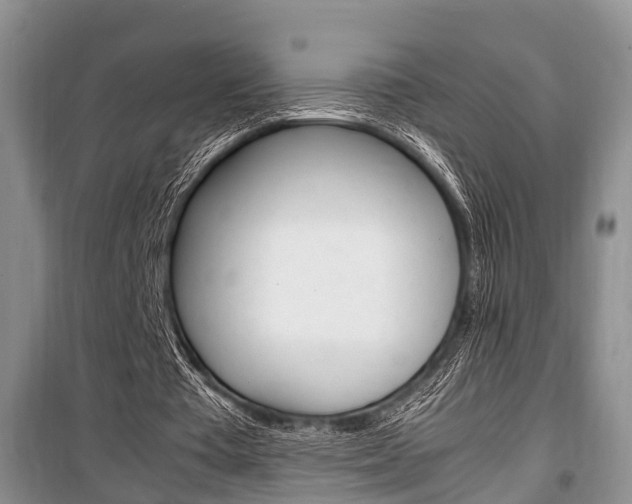X0000100350385200806060805