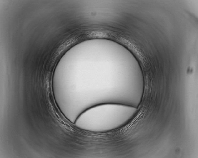 X0000100350386200806060805