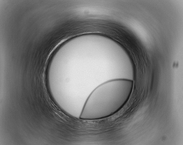 X0000100350387200806060805
