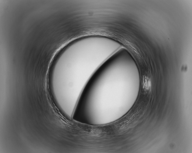 X0000100350388200806060805