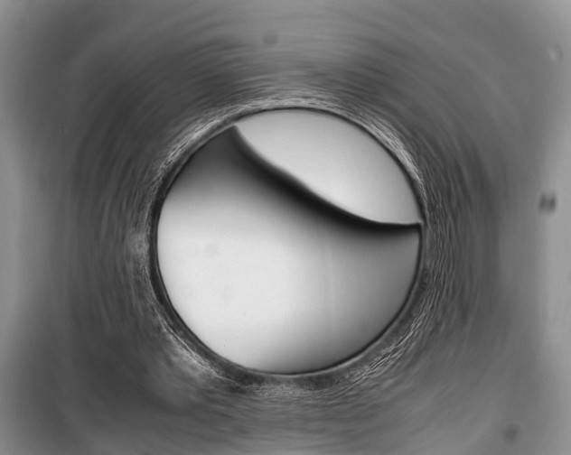 X0000100350389200806060805