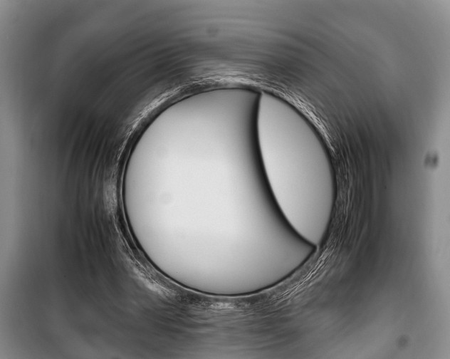 X0000100350390200806060805