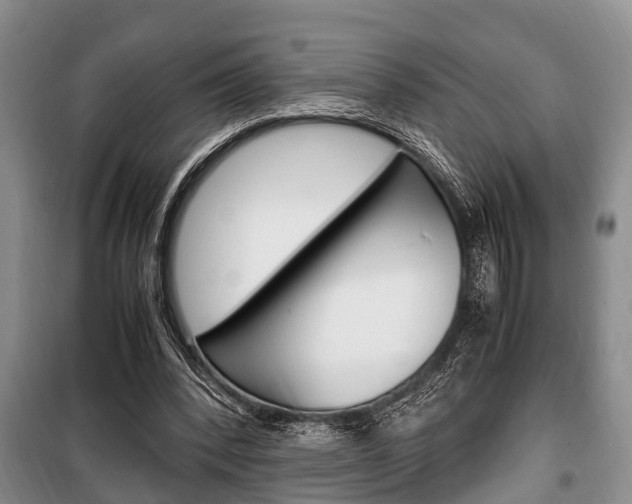 X0000100350392200806060805