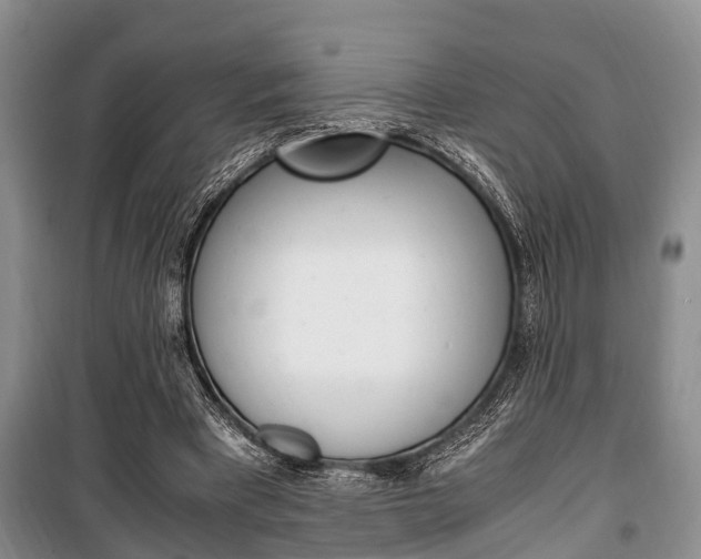 X0000100350393200806060805