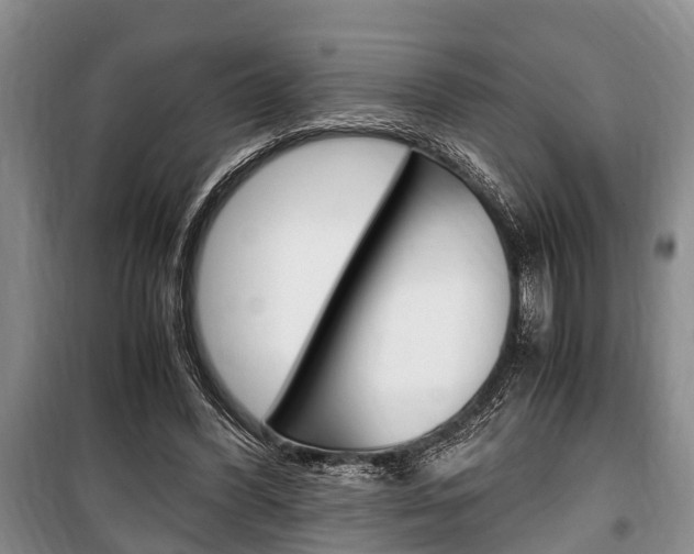 X0000100350396200806060805