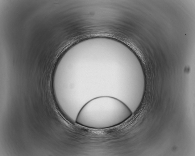 X0000100350397200806060805