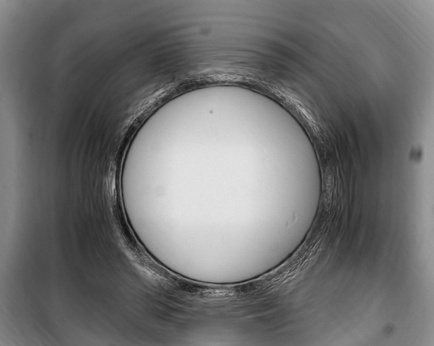 X0000100350398200806060805