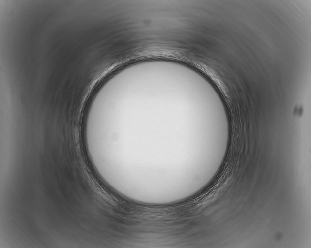 X0000100350399200806060805