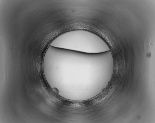 X0000100350402200806060805