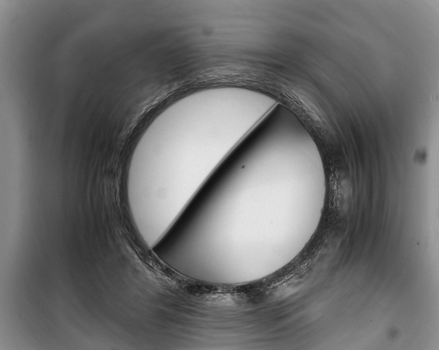X0000100350404200806060805