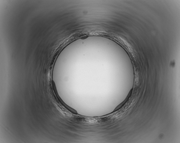 X0000100350405200806060805