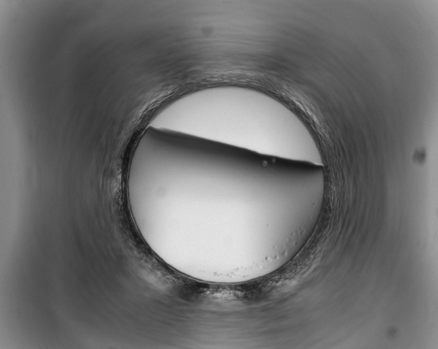 X0000100350407200806060805