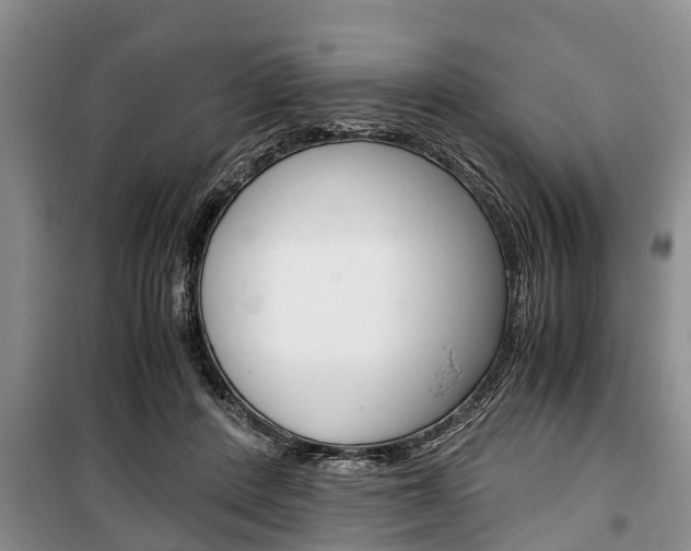 X0000100350408200806060805