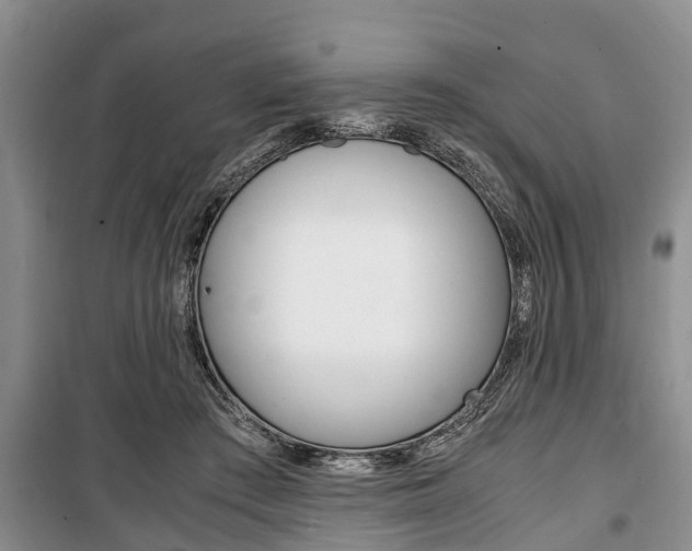 X0000100350409200806060805