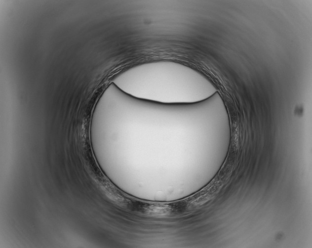X0000100350410200806060805