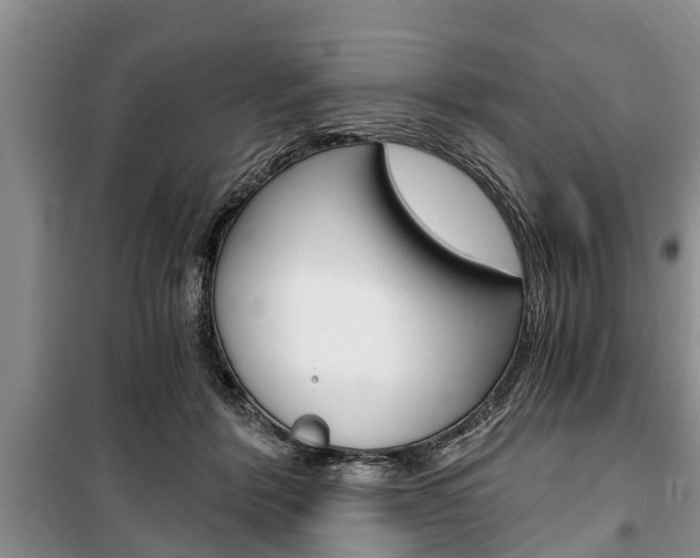 X0000100350412200806060805