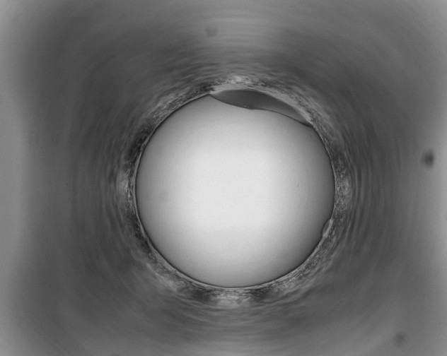 X0000100350415200806060805