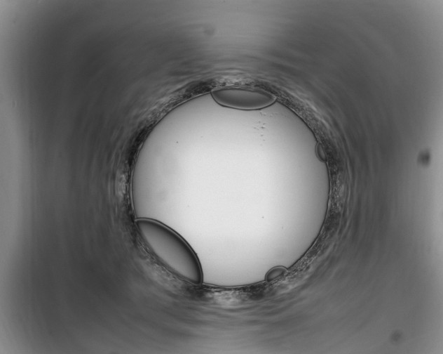 X0000100350417200806060804