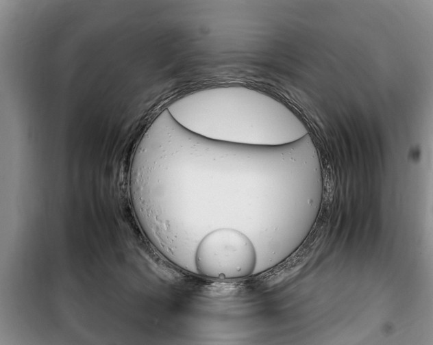 X0000100350418200806060804